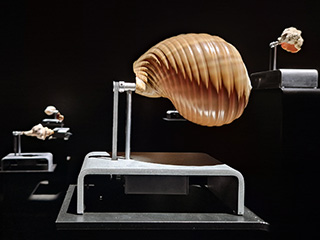 Hard Times – Soft Sounds